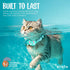 KittyTag (9-12") Cat Collar with Airtag Holder, Breakaway Air Tag Collar for Apple airTag, Reflective & Luminous