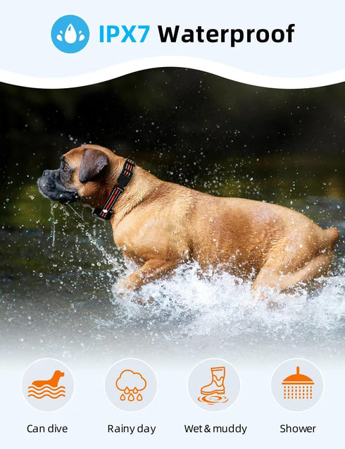 Dog Training Collar, Shock Collar with Remote, Electric Collar for Small Medium Large Breed, Rechargeable E Collar with
