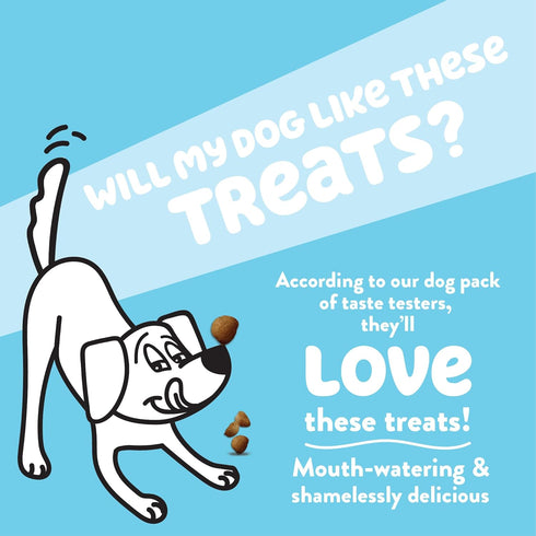 Shameless Pets Dog Training Treats - Bone Broth Chews (Bacon Hits Different) for Healthy Puppy Training
