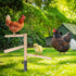 Kalekey Chicken Perch Toy for Coop, Chicken Perch Stand Wooden with Metal Ground Plug, Roosting Bar for Chicken Coop