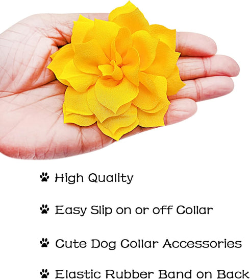 PET SHOW Small Dog Collar Charms, Bowties for Cats, Rabbits, Slide on Puppies, Medium Dog Collars, Flower Bows