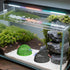 Wzttdm 4 PCS Shrimp Dome Hide, Aquarium Shrimp Cave Hideout, Shrimp Hides for Aquarium Small Fish Guppy Shrimp Habitat