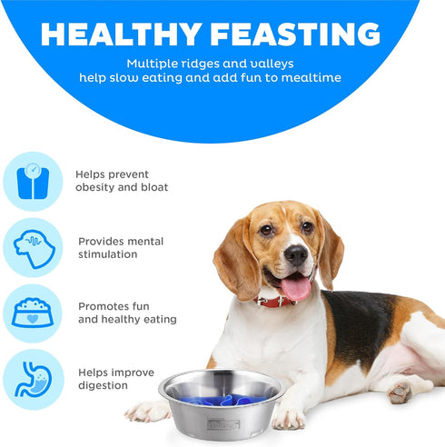 Outward Hound Fun Feeder - Stainless Steel Slow Bowl with Slow Feeder Insert, Silver Gray, Medium