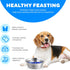 Outward Hound Fun Feeder - Stainless Steel Slow Bowl with Slow Feeder Insert, Silver Gray, Medium