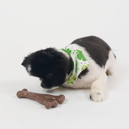 SPOT Bam-Bones Wishbone Dog Chew - Durable Bamboo Fiber Toy for Light to Moderate Chewers, 5.25in, Bacon Flavor
