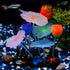 Uniclife Silicone Lotus Ornament - Glowing Effect Aquarium Decoration with Suction Cup for Fish Tank