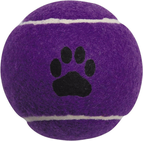 Zanies Puppy Pride Tennis Balls for Dogs, 6-Pack, 2.5-Inch Diameter, Rainbow Pride Flag Colors