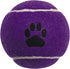 Zanies Puppy Pride Tennis Balls for Dogs, 6-Pack, 2.5-Inch Diameter, Rainbow Pride Flag Colors