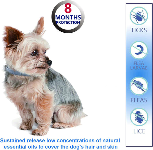 Natural Ingredients Flea Collar for Small Dogs - Safe and Effective Waterproof Flea and Tick Collar, 2-Pack