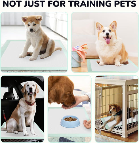Red Rabbits 100PCS 18" 13" Puppy Pee Pads Disposable Pet Toilet Training Pads x for Dogs, Ultra Absorbent|Quick