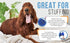 PetMedics Soothing Durable Dog Chew Aid for Medium to Large Dogs - Moderate to Tough Chewers