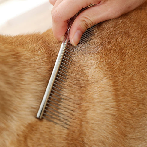 Dog Combs Cat Combs 3 Pack, Stainless Steel Grooming Combs for Dogs and Cats, Wide Tooth, Dense Tooth & Flea Comb