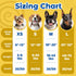 Male,40 Pet Soft Dog Diapers Ct Disposable Male Dog Wraps, Super Absorbent Doggie Belly Band with Wetness Indicator