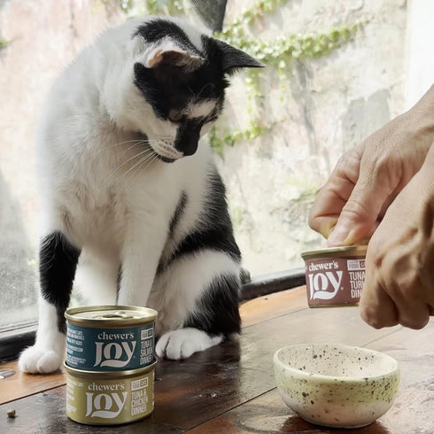 Pack 3 3oz (Pack 12) Chewer's Joy Wet Cat Food Variety High-Protein, Grain-Free, Natural Pate Canned Food - Premium