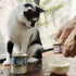 Pack 3 3oz (Pack 12) Chewer's Joy Wet Cat Food Variety High-Protein, Grain-Free, Natural Pate Canned Food - Premium