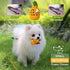 Puppy Chew Toys, Tough Dog Dental Chews for Average Chewer, Indestructible Toys for Small Dogs, 20-40 Pounds