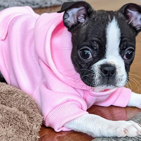 Jecikelon Winter Dog Hoodie Sweatshirts with Pockets, Warm Clothes for Small Dogs, Chihuahua Coat, Pink, Small