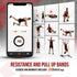 INTENT SPORTS Pull Up Assist Bands – Resistance and Assistance Bands for Fitness, Weightlifting, Body Stretching,