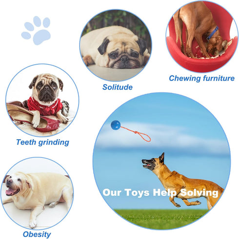 2 Pack Dog Ball, K9 Ball, Solid Rubber Ball on Rope for Reward, Fetch, Play (Blue and Red)