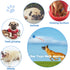 2 Pack Dog Ball, K9 Ball, Solid Rubber Ball on Rope for Reward, Fetch, Play (Blue and Red)