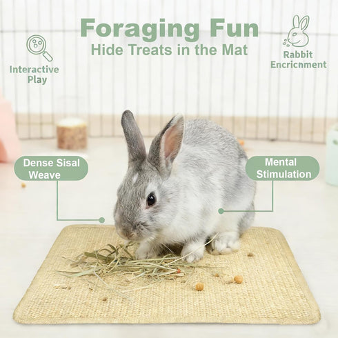 2-Pack 16x12 Inch Rabbit Scratching Pad with Non-Slip Grip, Natural Sisal Bunny Scratch Mat & Chew Toy for Rabbits