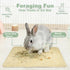 2-Pack 16x12 Inch Rabbit Scratching Pad with Non-Slip Grip, Natural Sisal Bunny Scratch Mat & Chew Toy for Rabbits
