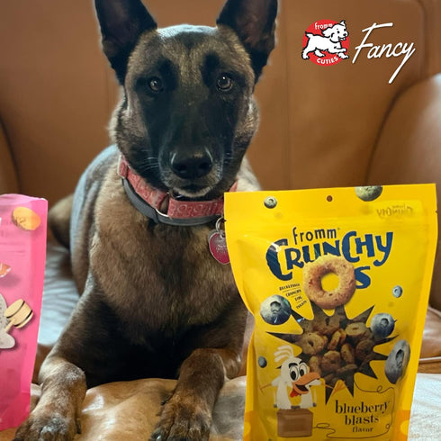 Fromm Crunchy Os Dog Treat Variety Pack - Sample Pack (Beef, Chicken, Pork) - 3 Bags of 6 oz