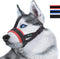 Head Strap Dog Muzzle Prevents Taking Off by Paws for Small, Medium and Large Dogs (XL/Red)