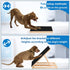 FurFlasher Trimming Dog Nail Scratch Pad with Sandpaper Filing Replacement Sandpapers Included and Non-Slip Pad