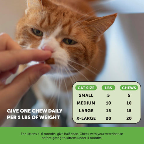 Pet Honesty Hairball Support Chews for Cats, Chicken Flavor, 30-Day Supply, Supports Skin, Coat, Digestion & Vitamins