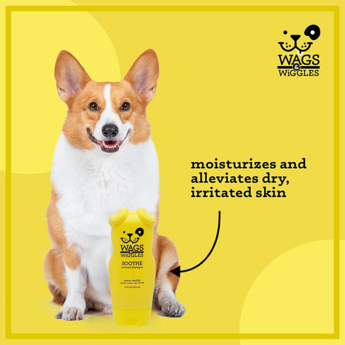 Wags & Wiggles 16 Oz Soothe Oatmeal Dog Shampoo - Warm Vanilla Scent, pH-Balanced Colloidal Oatmeal Formula for Dogs
