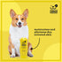 Wags & Wiggles 16 Oz Soothe Oatmeal Dog Shampoo - Warm Vanilla Scent, pH-Balanced Colloidal Oatmeal Formula for Dogs