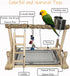 PINVNBY Bird Playground Parrot Playstand Birds Play Stand Wood Exercise Perch Gym Stand Playpen Ladder with Feeder Cups