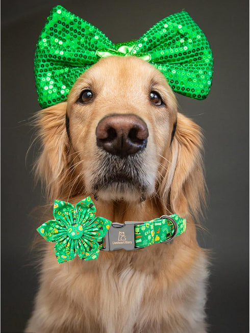 Lionheart St. Patrick's Day Dog Collar, Flower Collar for X-Large Dogs, Green Lucky Clover Shamrock Design