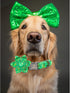 Lionheart St. Patrick's Day Dog Collar, Flower Collar for X-Large Dogs, Green Lucky Clover Shamrock Design
