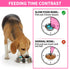 Slow Feeder Dog Bowls Insert, Bestalk Soft Silicone Dog Slow Eating Feeder Insert with Suction Cups for Small, Medium and Large Dogs, Fit into Basic Bowls and Elevated Dog Bowls