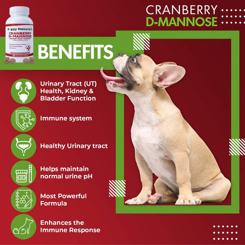 Cranberry D-Mannose for Dogs and Cats, 60 Count Tablets for Urinary Tract Infection Support and Kidney Health