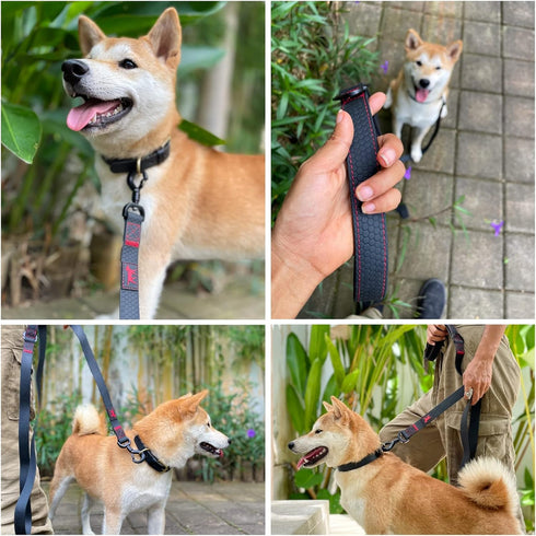 Tuff Pupper Heavy Duty Waterproof Action Leash - 6 Foot with Aluminum Quick Release, Locking Carabiner Clip