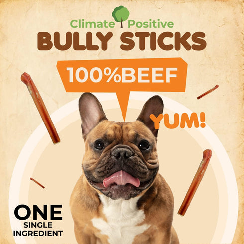 Bully Sticks 100% Natural Beef Dog Chews, 6” Premium Quality Healthy Treats for Training, 12Pcs 340g