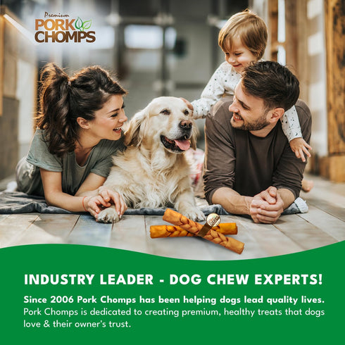 10-inch 1 Count (Pack 3) Pork Chomps Roasted Pork Skin Dog Chew, Braid