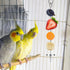 Bird Food Holder Stainless Steel Skewer for Parrots, Cockatoo, Cockatiel Cage Treating Tool (L: 7.86 inch)