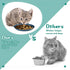 Gerrii 24 Pieces Cat Bowl - 6 Inch Shallow Whisker Fatigue Relief Dish for Kittens and Short Legged Cats