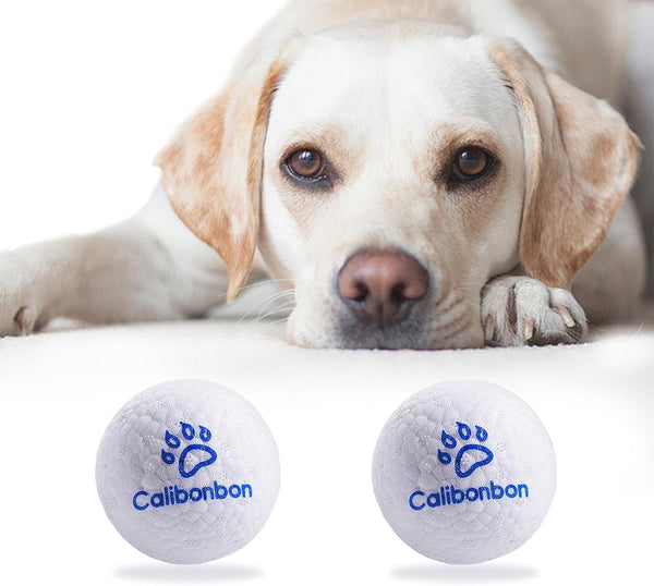 Durable Dog Chew Balls - Indestructible Tennis Balls for Aggressive Chewers - Interactive Bouncy Fetch Toys (2 Balls)