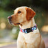 ARING PET Plaid Dog Collar, Cute Adjustable Cotton Collar for Small Medium Large Dogs, Perfect for Boys and Girls