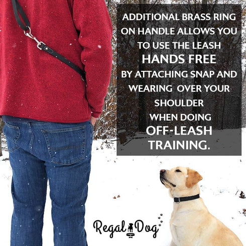 Regal Dog Products Waterproof Dog Collar and Leash Set, Small Orange, Vinyl Coated, Biothane, 5' Leash