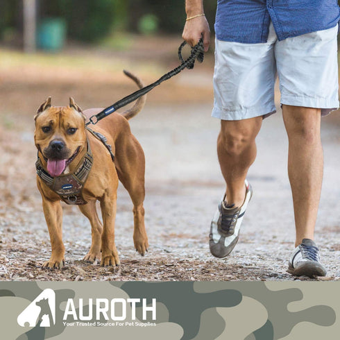 AUROTH Dog Leash, Heavy Duty Bungee, No Pull for Shock Absorption, Black Dog Training Leash for Medium Large Breed