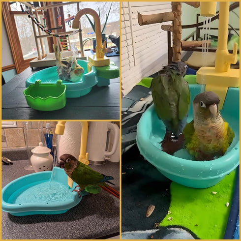 Petlex Bird Bath for Cage, Bird Bath Fountains Indoor, Parrot Automatic Bathing Box Bird Bath Shower Accessories Bird