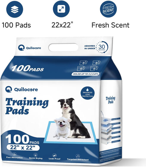 100 Count 22 22 x Disposable Dog Pee Pads, Super Absorbent Leakproof Puppy Pads Quick Drying, Pee Pads for Dogs, Potty