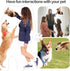 Plush Dog Toy, Squeaky & Stuffed Toy for Small & Medium Dogs