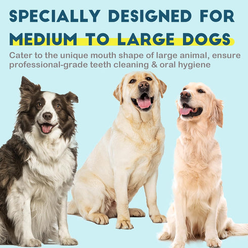 4 Pack, 2 2 Dog Toothbrush Kit Ultra Soft Dog Tooth Brush for Medium to Large Dogs & Cats, Pet Tooth Brushing Kit